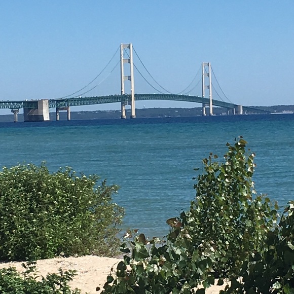 Meet your Posher, Tammy - Picture 4 of 5